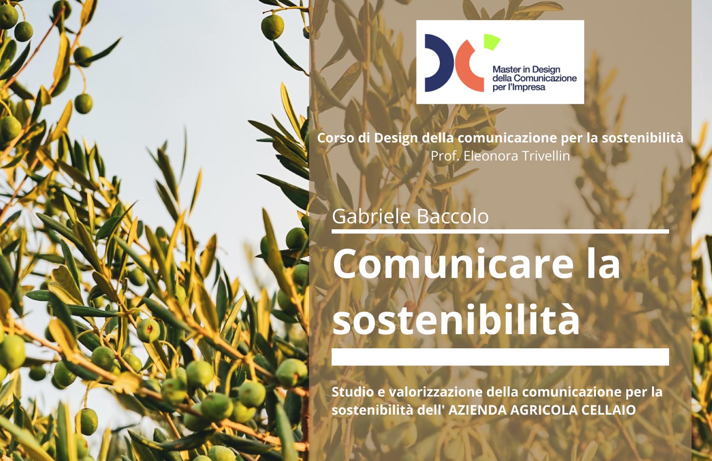 AZIENDA AGRICOLA CELLAIO
