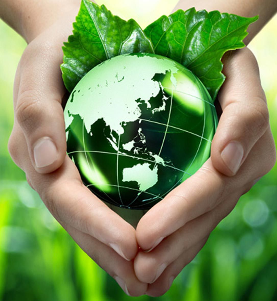 Design della comunicazione. Comunicare la sostenibilità