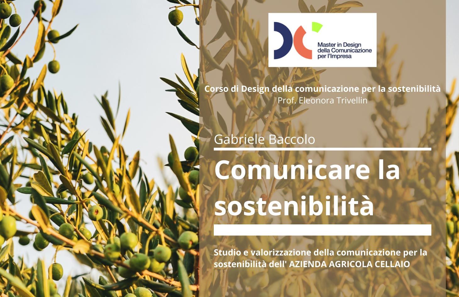 AZIENDA AGRICOLA CELLAIO