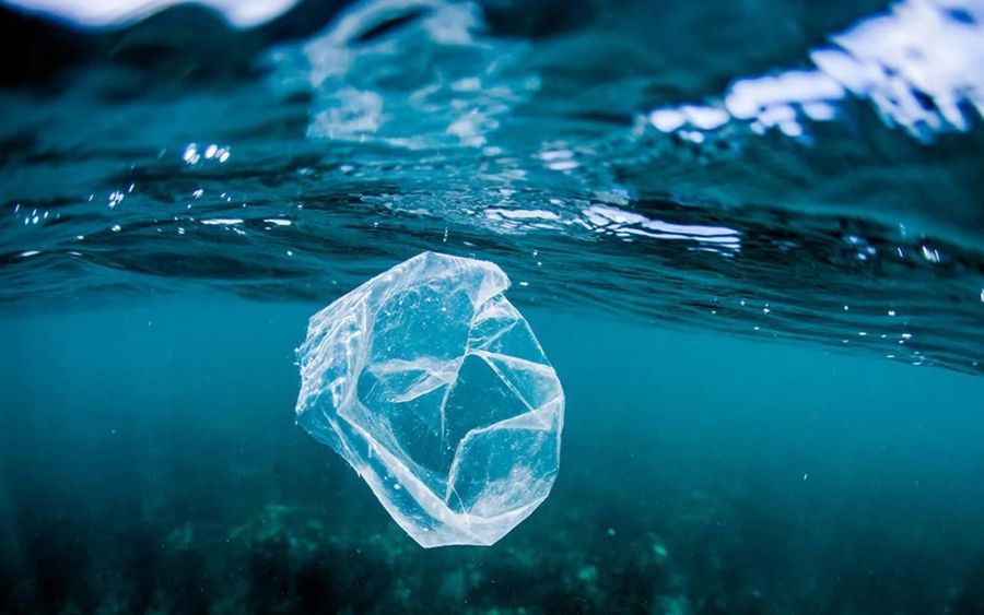 Microplastiche trovate anche nei remoti ed incontaminati fiordi della Patagonia cilena