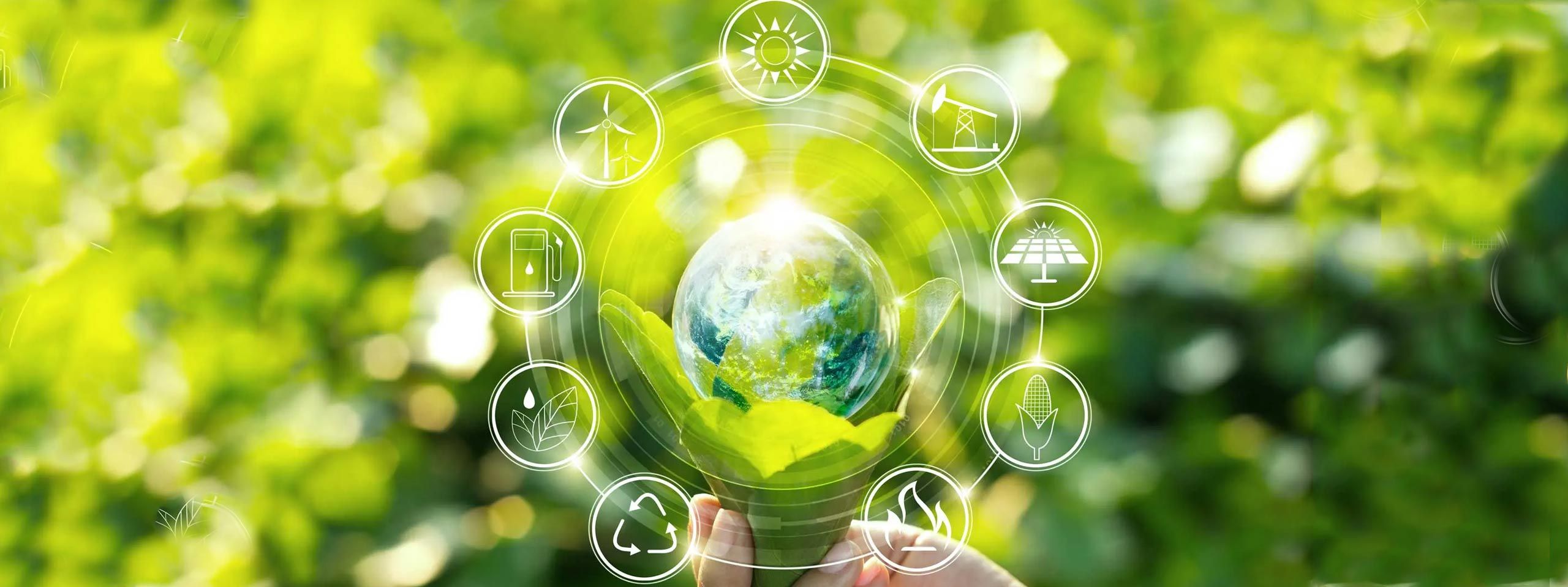 Design della comunicazione. Comunicare la sostenibilità