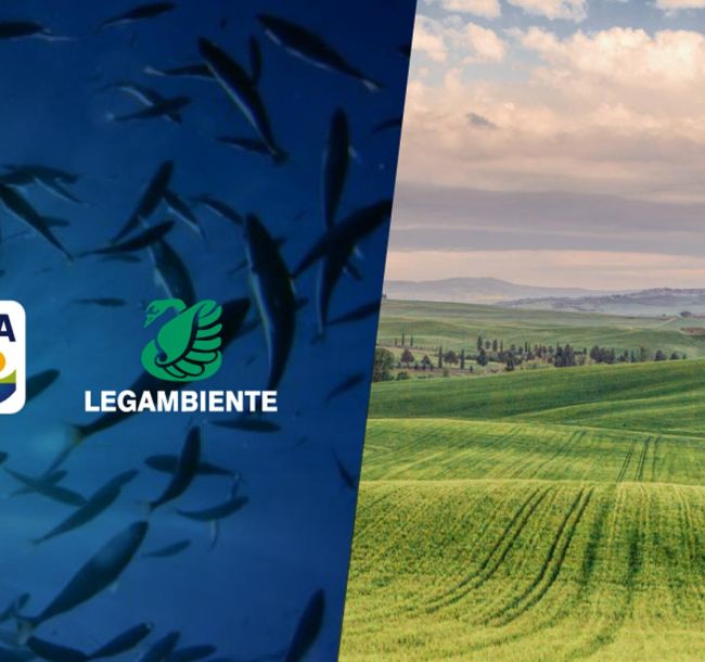 Dalle api ai ghiacciai, l'impegno di Frosta